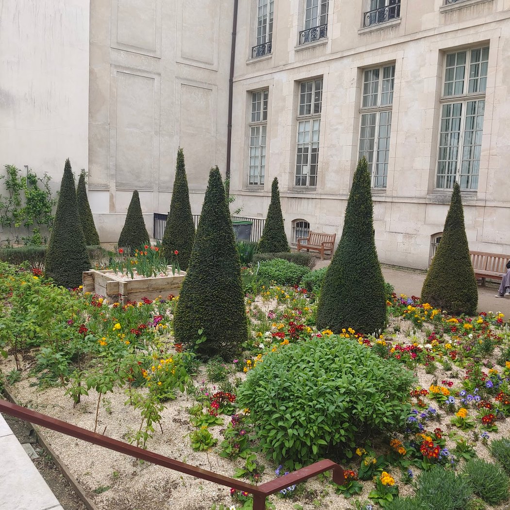 Rosiers Joseph Migneret Garden 2